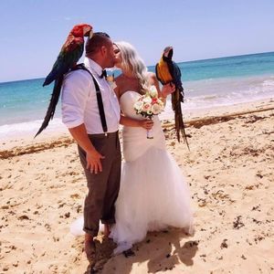 Meet your Posher, Jeffrey